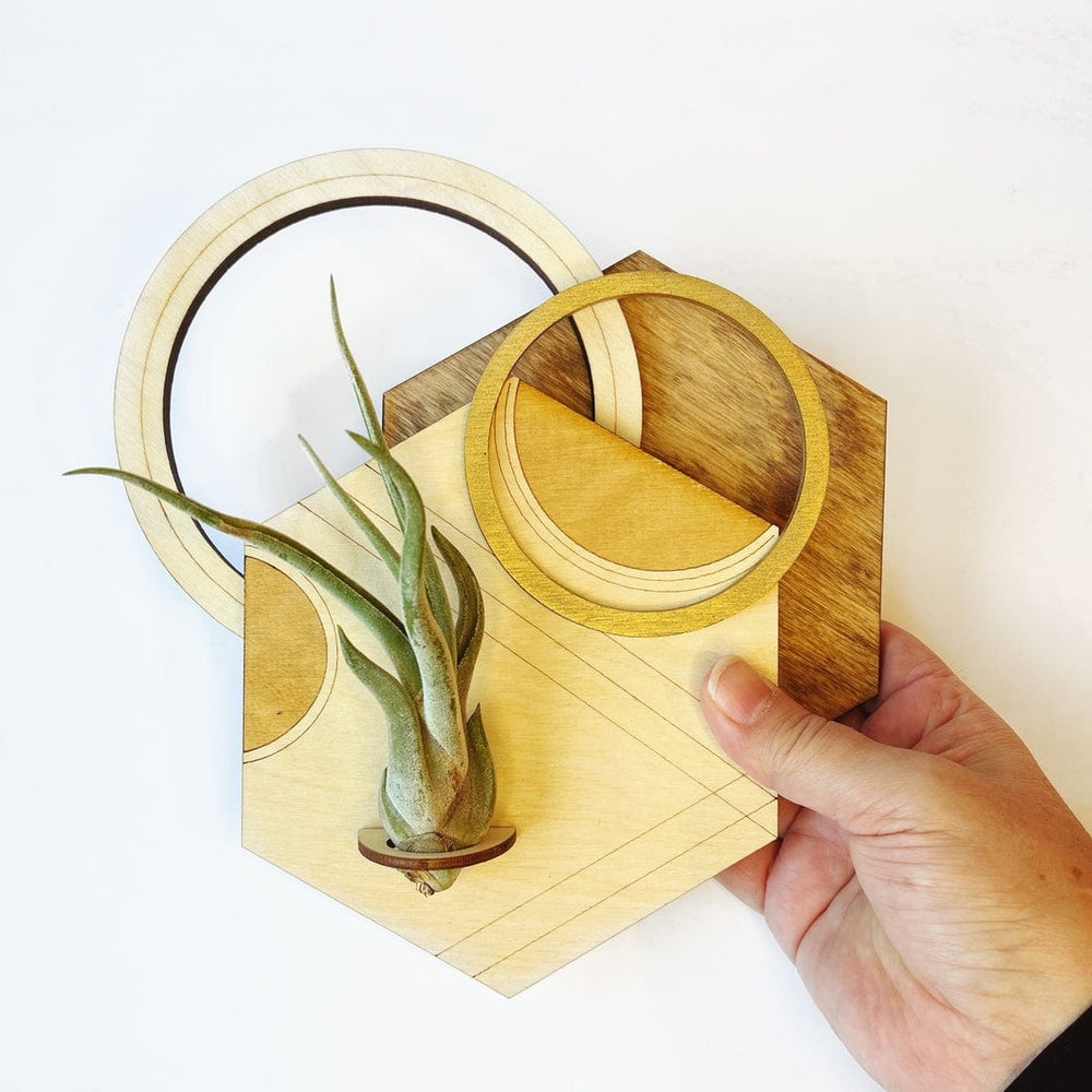 
                      
                        GIFT Geometric Plant Holder with Plant - Hexagon Design 2
                      
                    