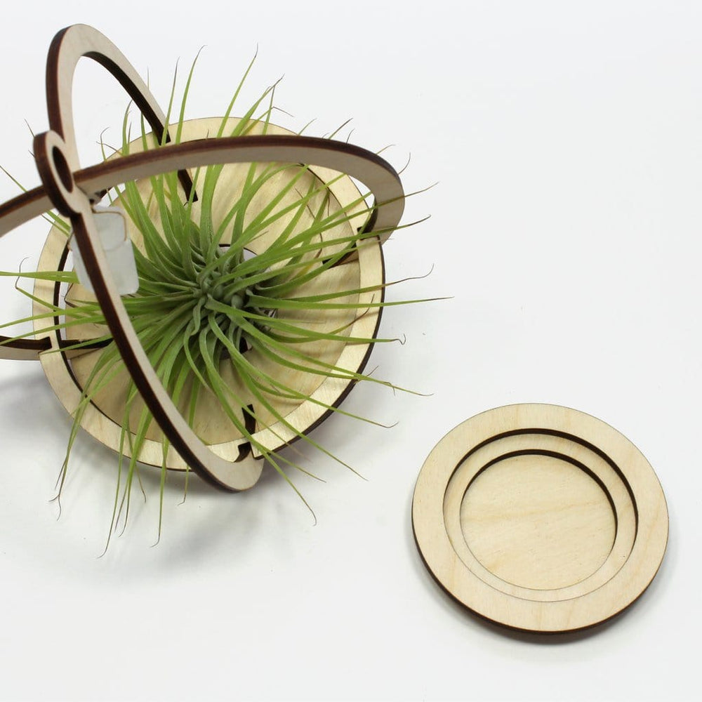 
                  
                    GIFT Large Orbit Air Plant Holder with Base and Plant
                  
                