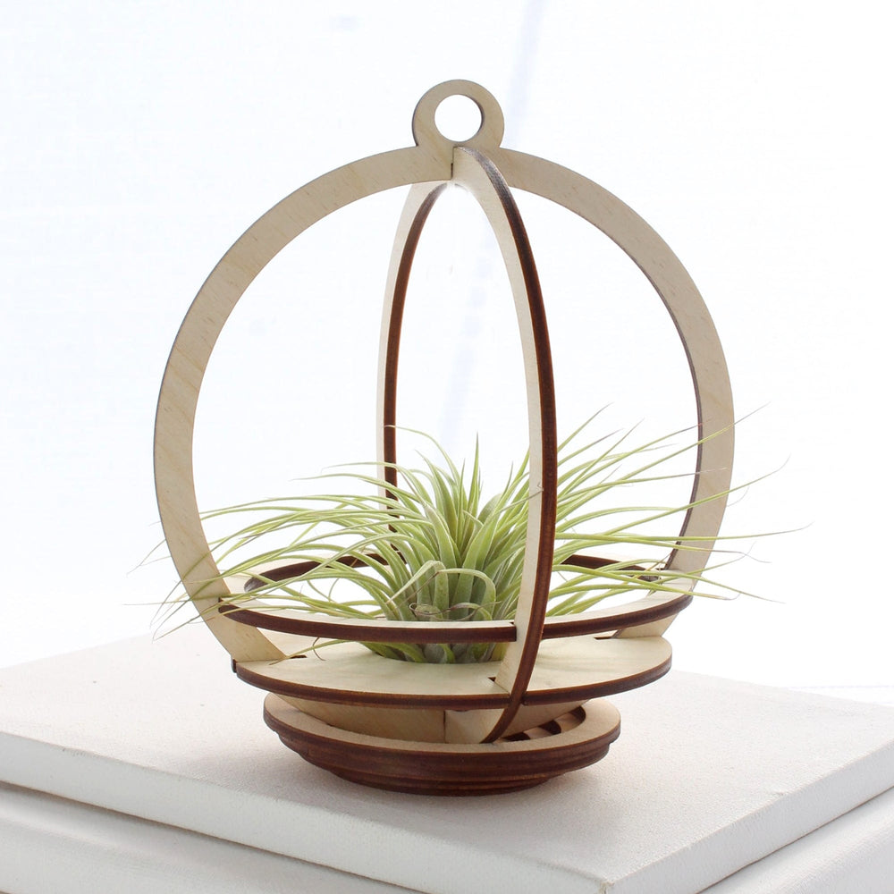 
                  
                    GIFT Large Orbit Air Plant Holder with Base and Plant
                  
                