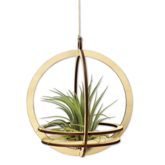 GIFT Large Orbit Air Plant Holder with Base and Plant