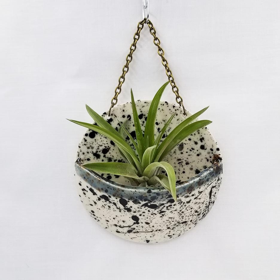 
                      
                        GIFT MEDIUM CERAMIC PLANTER POCKET WITH AIR PLANT
                      
                    