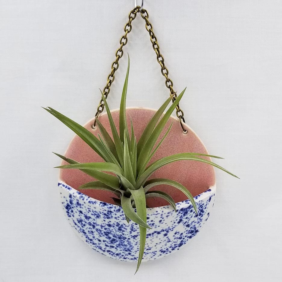 
                  
                    GIFT MEDIUM CERAMIC PLANTER POCKET WITH AIR PLANT
                  
                