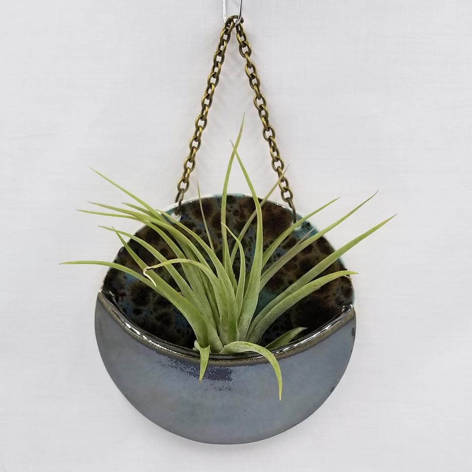 GIFT MEDIUM CERAMIC PLANTER POCKET WITH AIR PLANT