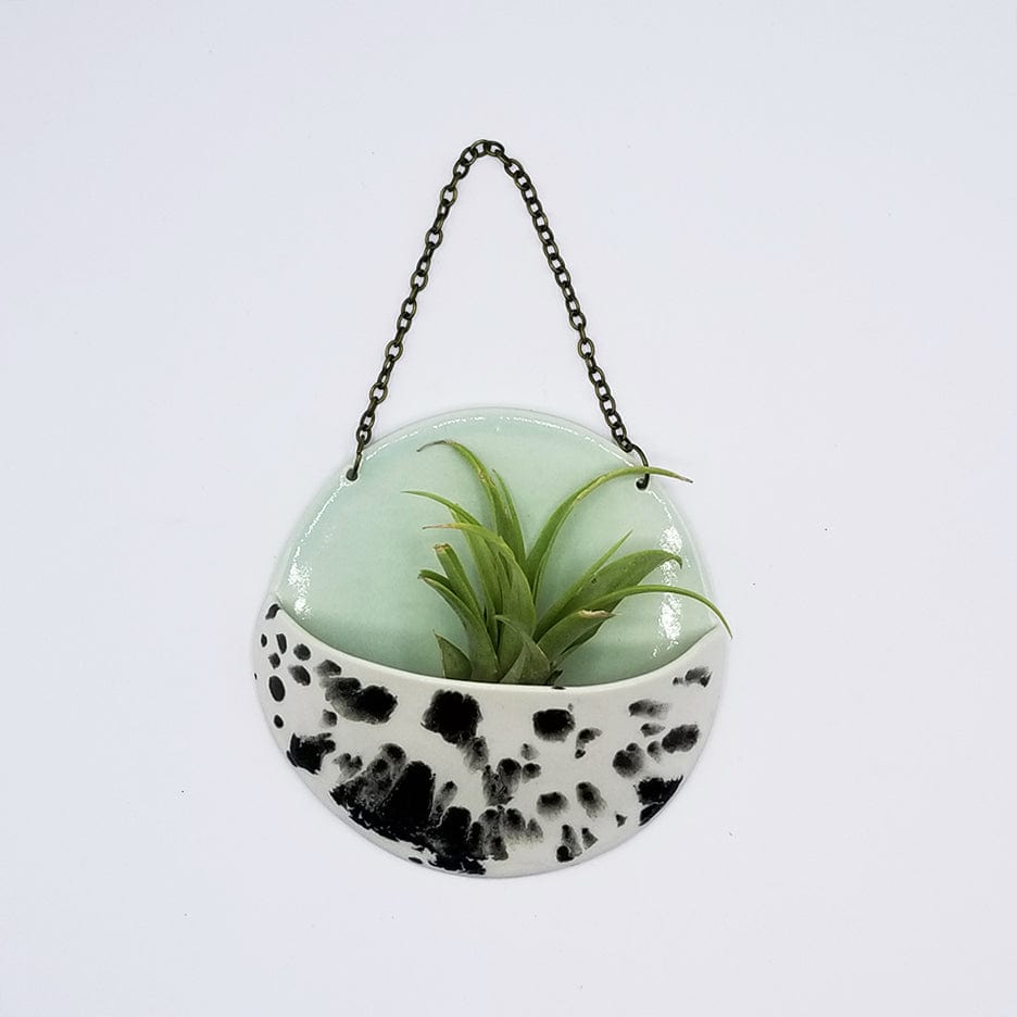 
                      
                        GIFT MEDIUM CERAMIC PLANTER POCKET WITH AIR PLANT
                      
                    