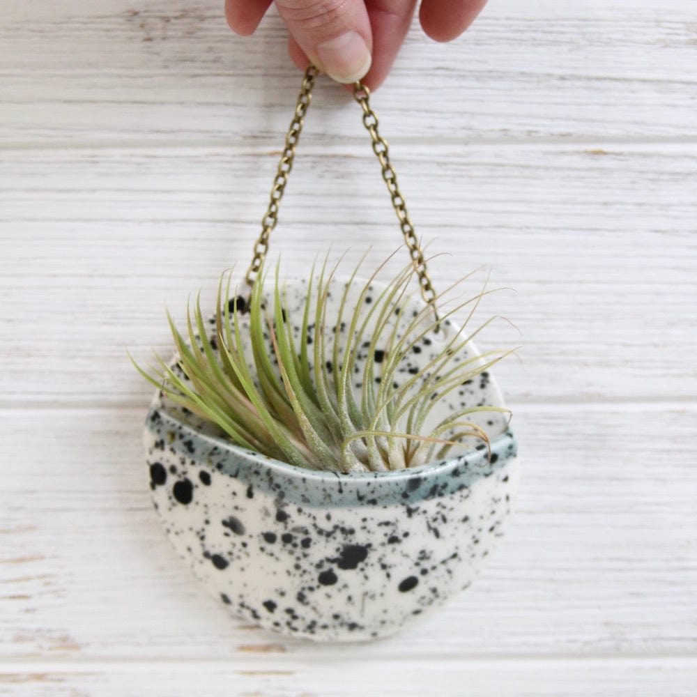 
                      
                        GIFT MEDIUM CERAMIC PLANTER POCKET WITH AIR PLANT
                      
                    