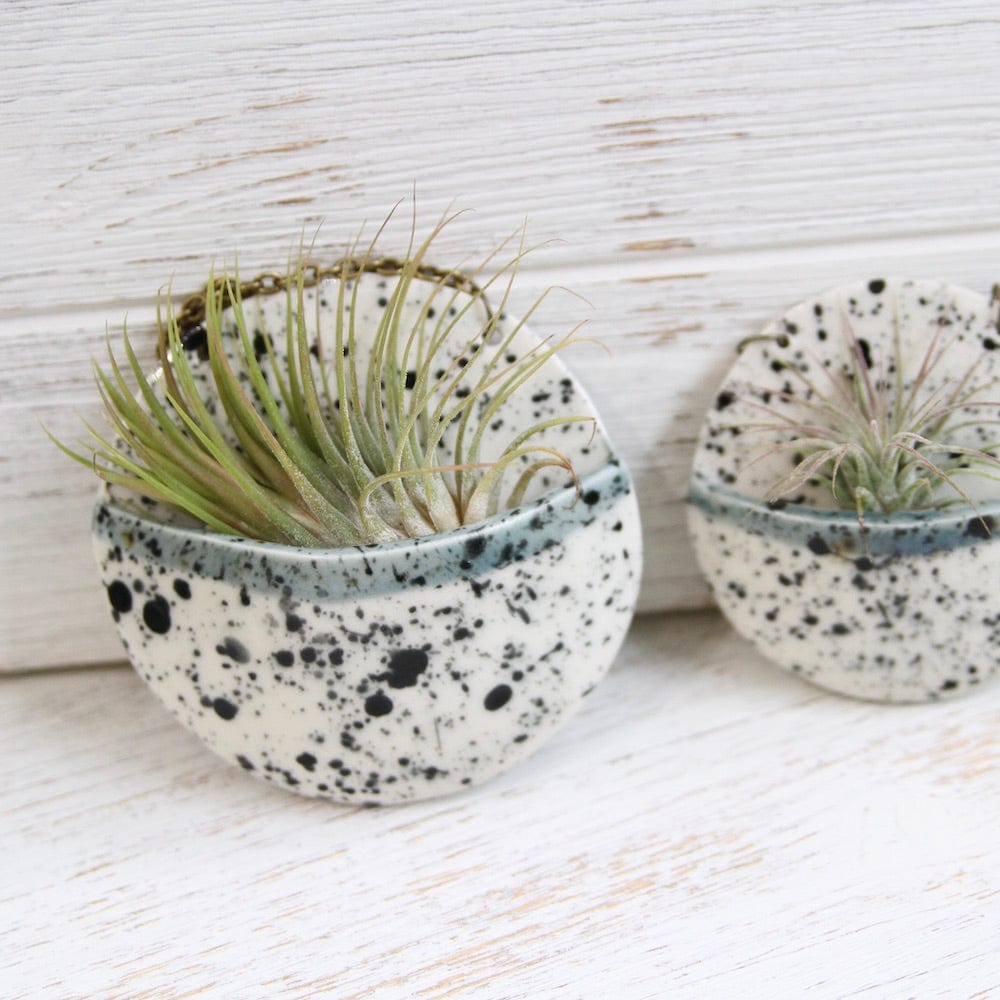 
                      
                        GIFT MEDIUM CERAMIC PLANTER POCKET WITH AIR PLANT
                      
                    