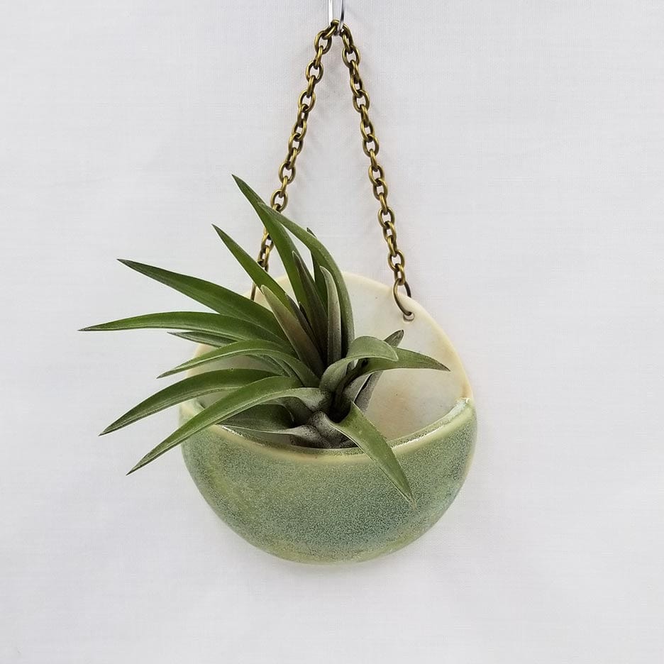 GIFT SMALL CERAMIC PLANTER POCKET WITH AIR PLANT