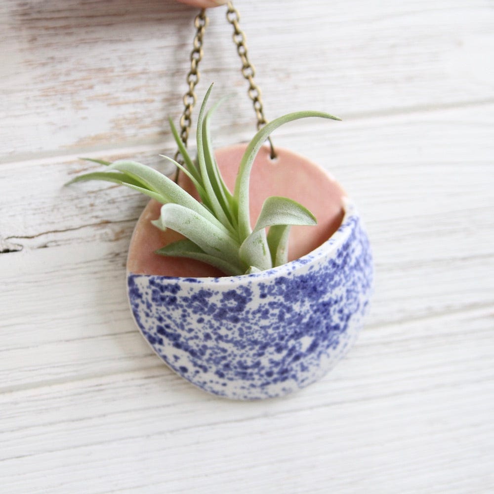 GIFT SMALL CERAMIC PLANTER POCKET WITH AIR PLANT