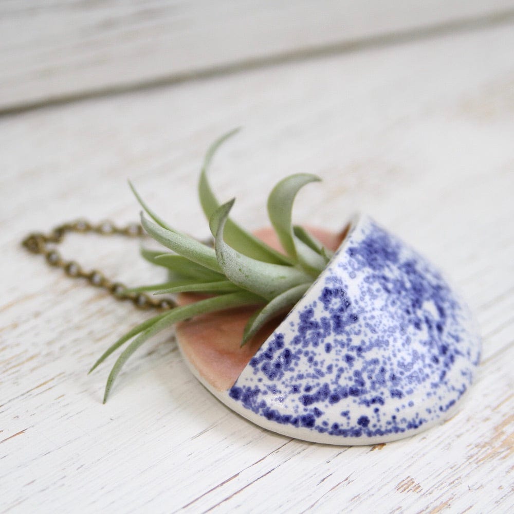 
                  
                    GIFT SMALL CERAMIC PLANTER POCKET WITH AIR PLANT
                  
                