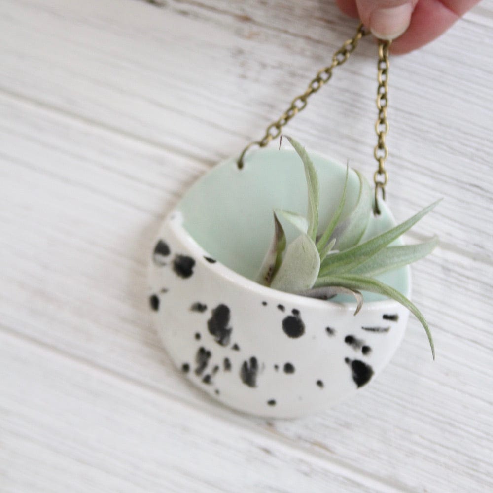 
                      
                        GIFT SMALL CERAMIC PLANTER POCKET WITH AIR PLANT
                      
                    