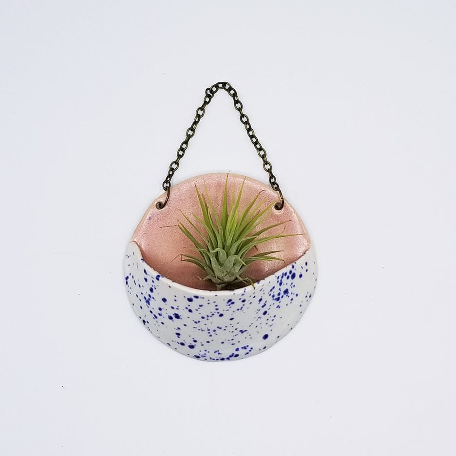 
                  
                    GIFT SMALL CERAMIC PLANTER POCKET WITH AIR PLANT
                  
                