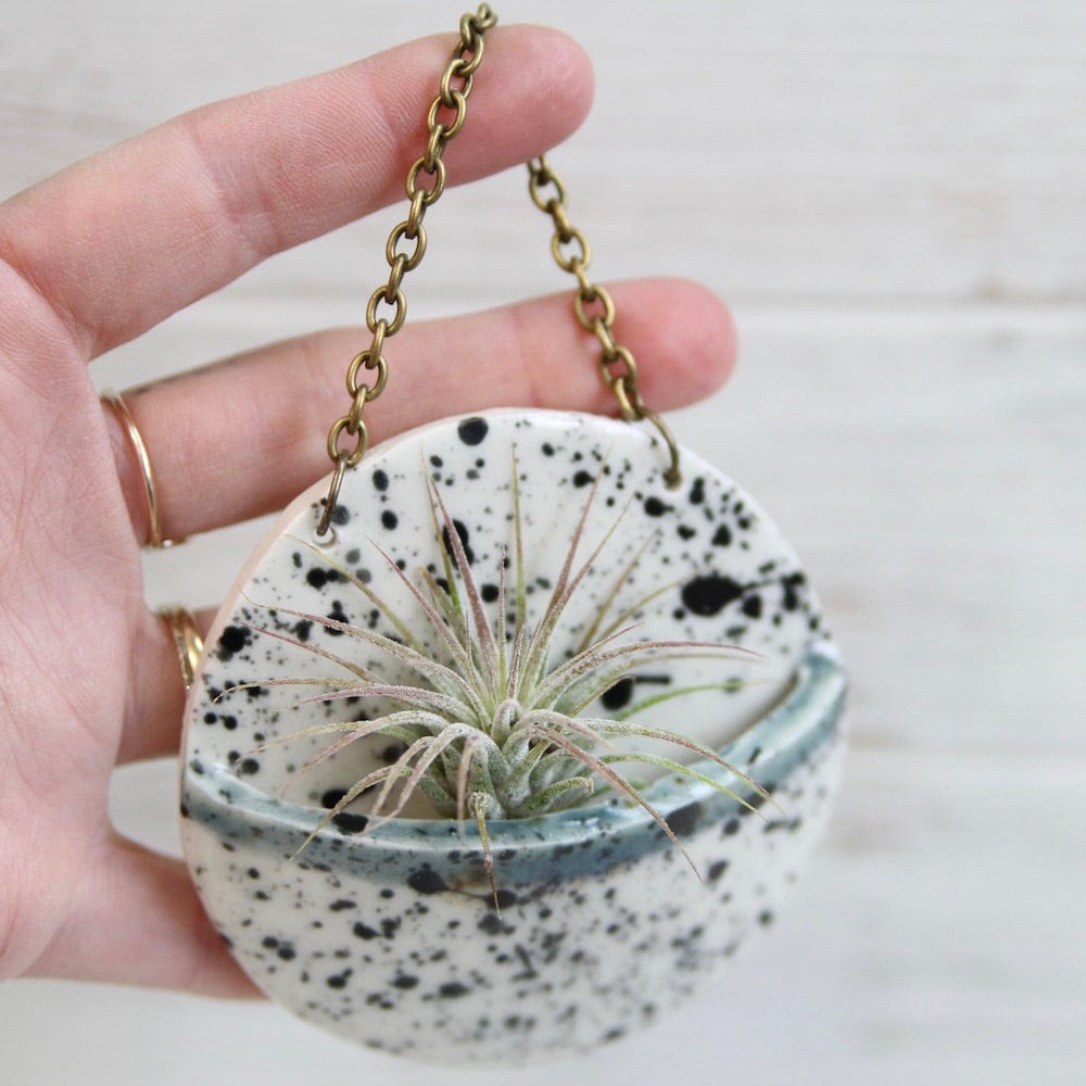 GIFT SMALL CERAMIC PLANTER POCKET WITH AIR PLANT