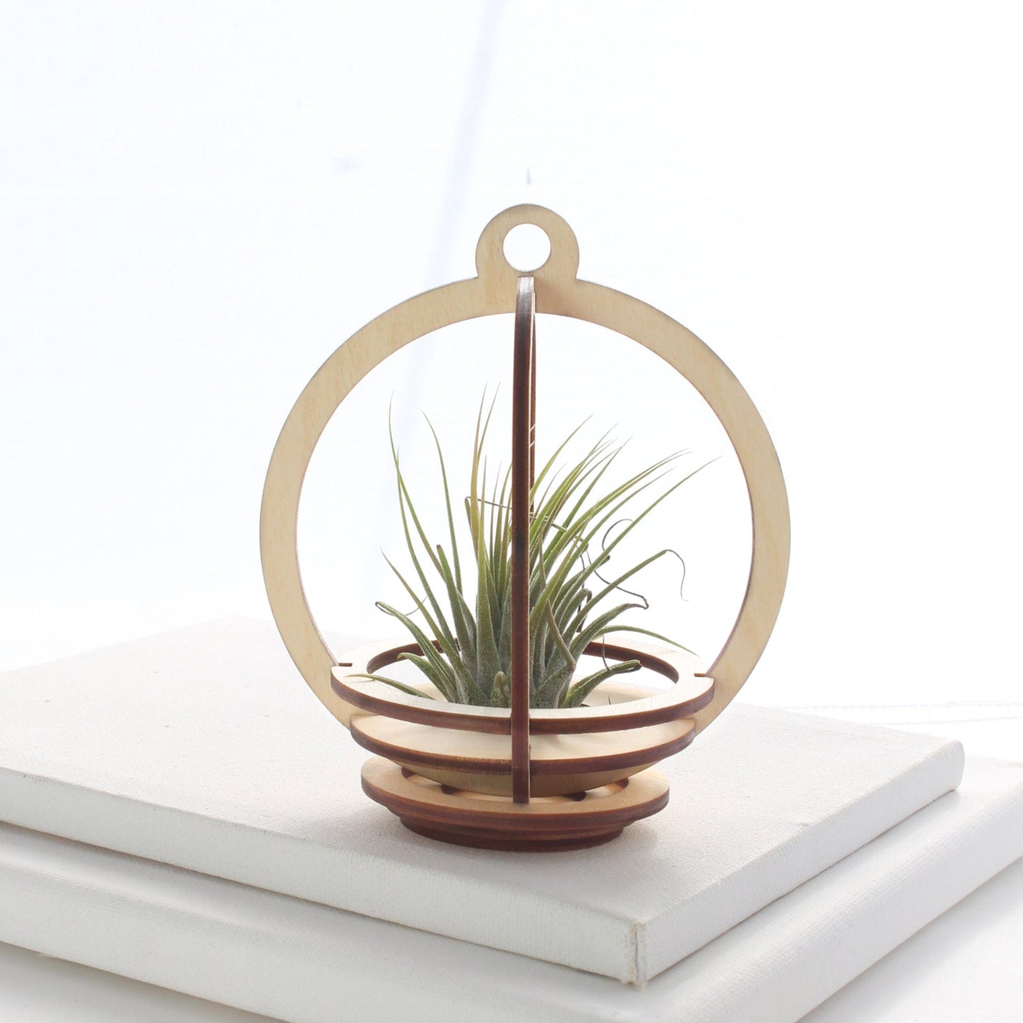 GIFT Small Orbit Air Plant holder with Base and Plant
