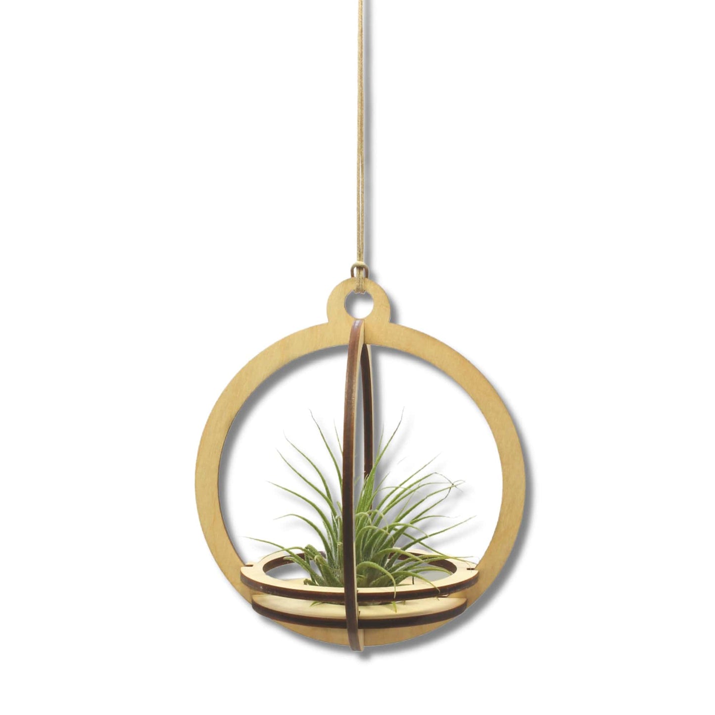 GIFT Small Orbit Air Plant holder with Base and Plant