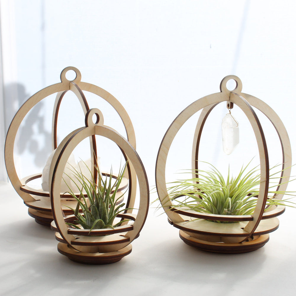 GIFT Small Orbit Air Plant holder with Base and Plant