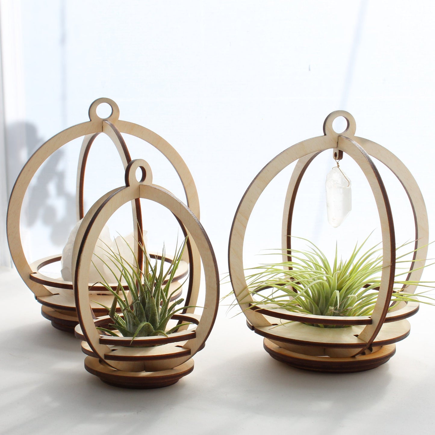 air plant jewelry Small Orbit Air Plant holder with Base and Plant – Dandelion Jewelry