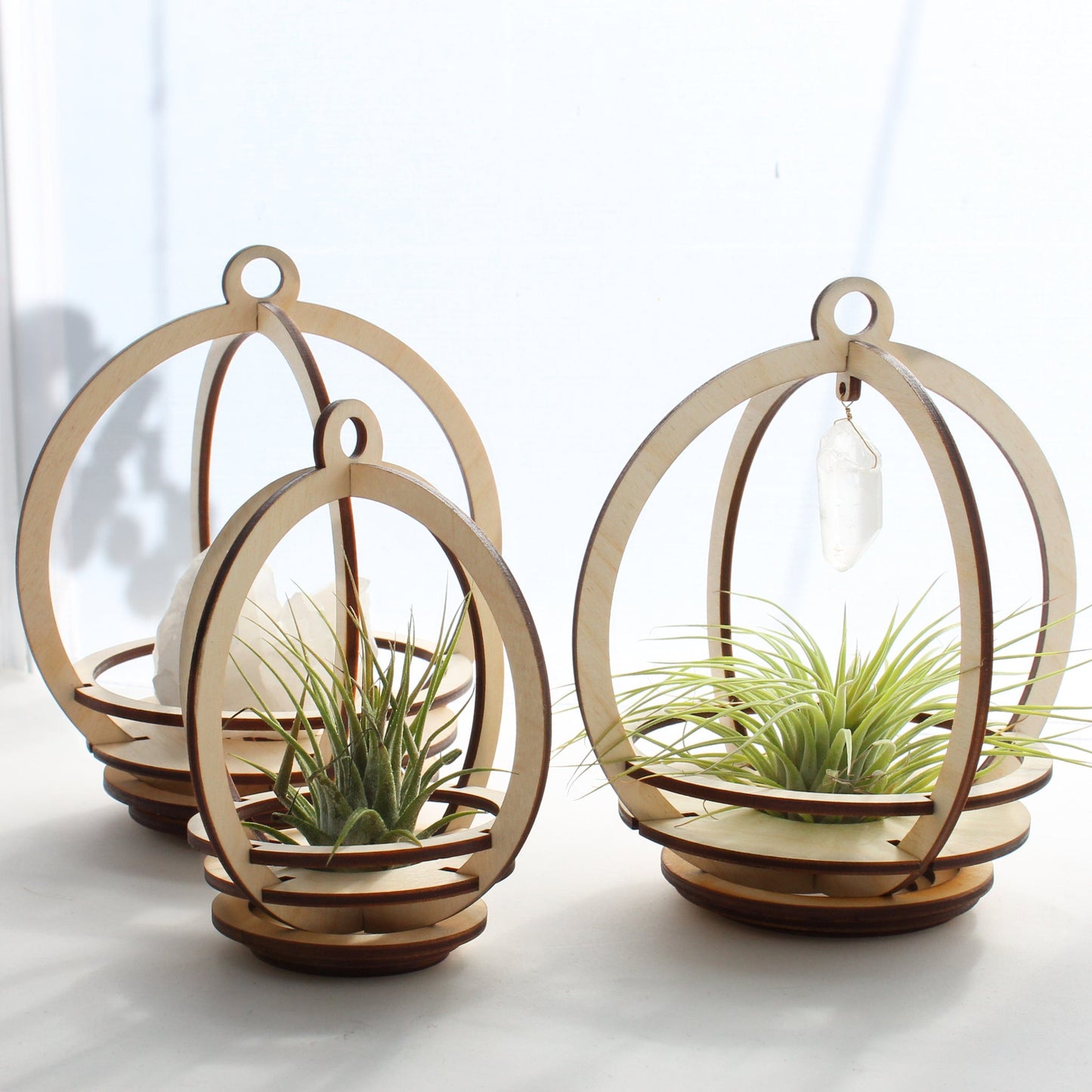 GIFT Small Orbit Air Plant holder with Base and Plant