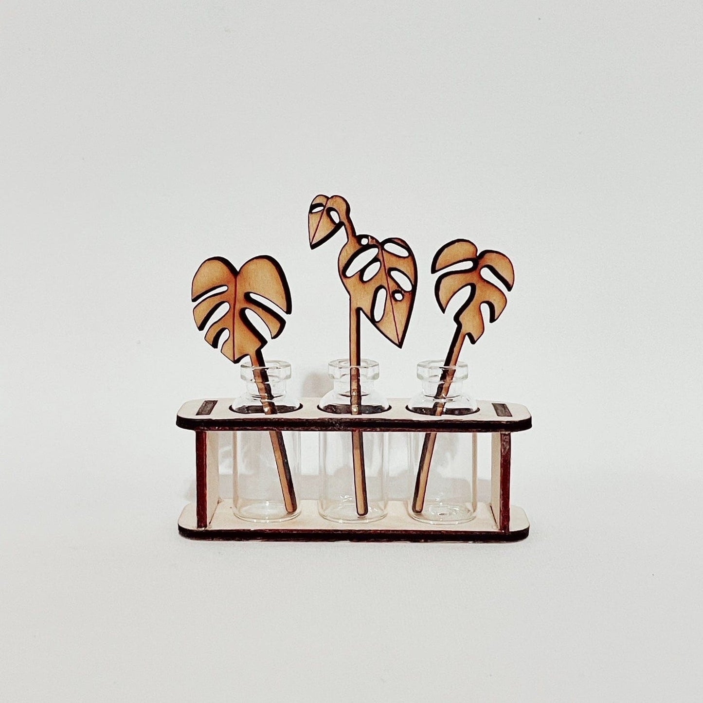 GIFT Tiny Houseplants Propagation Leaf Diffusers