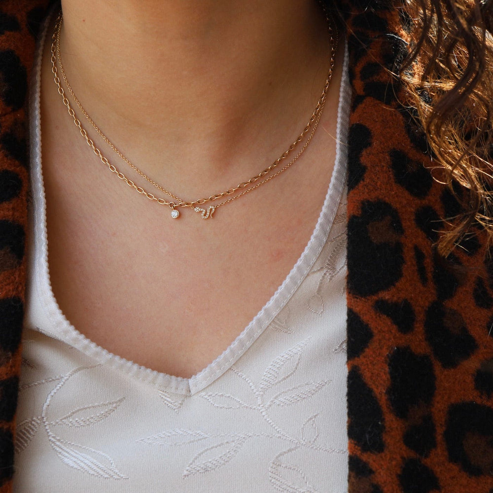 
                      
                        NKL-14K 14k Petite Snake Necklace
                      
                    