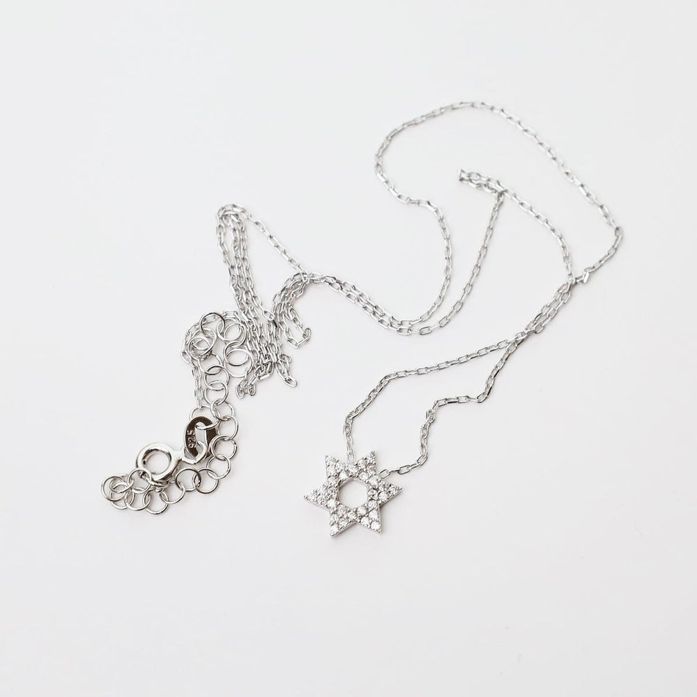 
                  
                    NKL CZ Star of David Necklace
                  
                