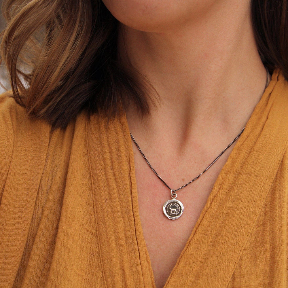 
                  
                    NKL Faithful Friend Talisman Necklace
                  
                