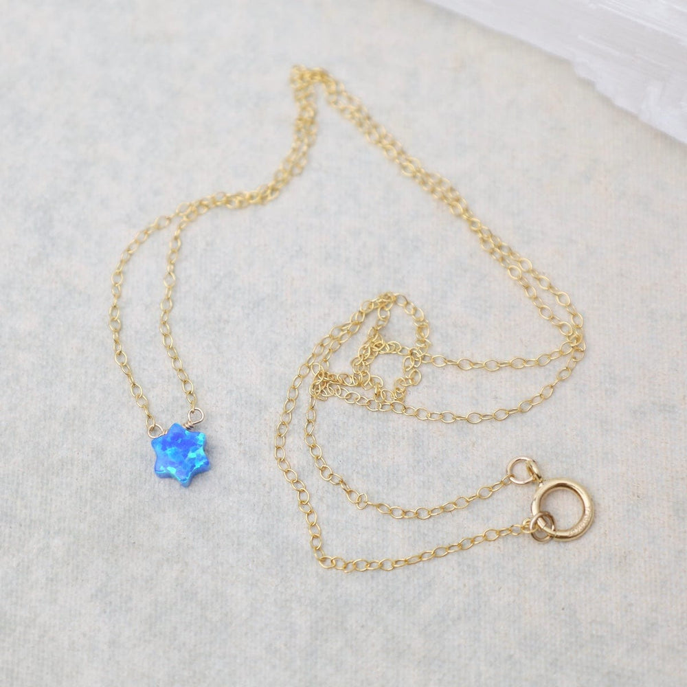 
                      
                        NKL-GF Blue Opal Star of David Necklace
                      
                    