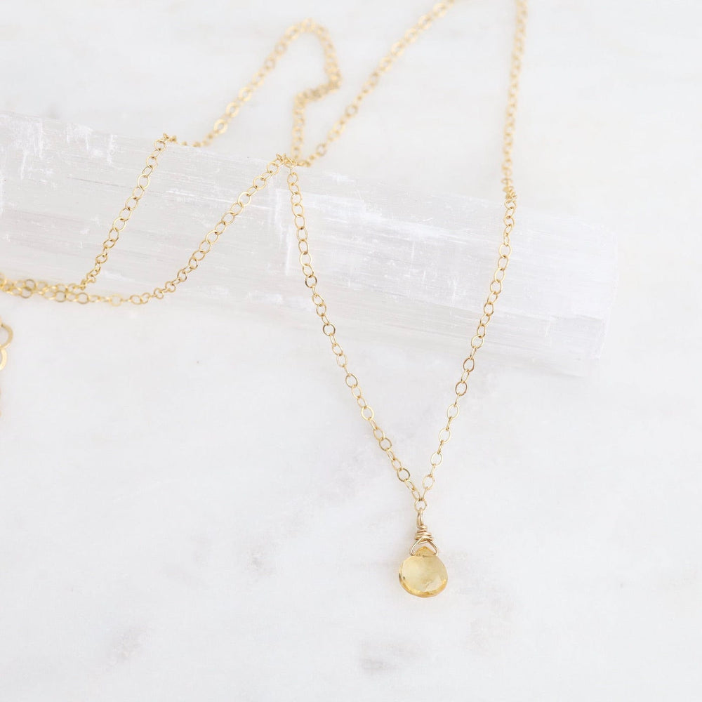 
                      
                        NKL-GF Delicate Brio Drop on Gold Filled Necklaces
                      
                    