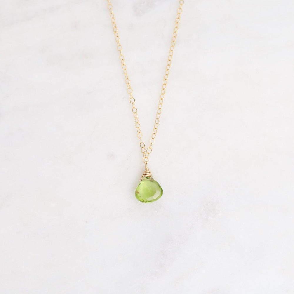 
                      
                        NKL-GF Delicate Brio Drop on Gold Filled Necklaces
                      
                    