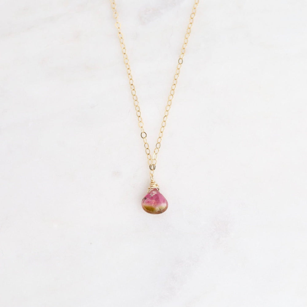 
                      
                        NKL-GF Delicate Brio Drop on Gold Filled Necklaces
                      
                    