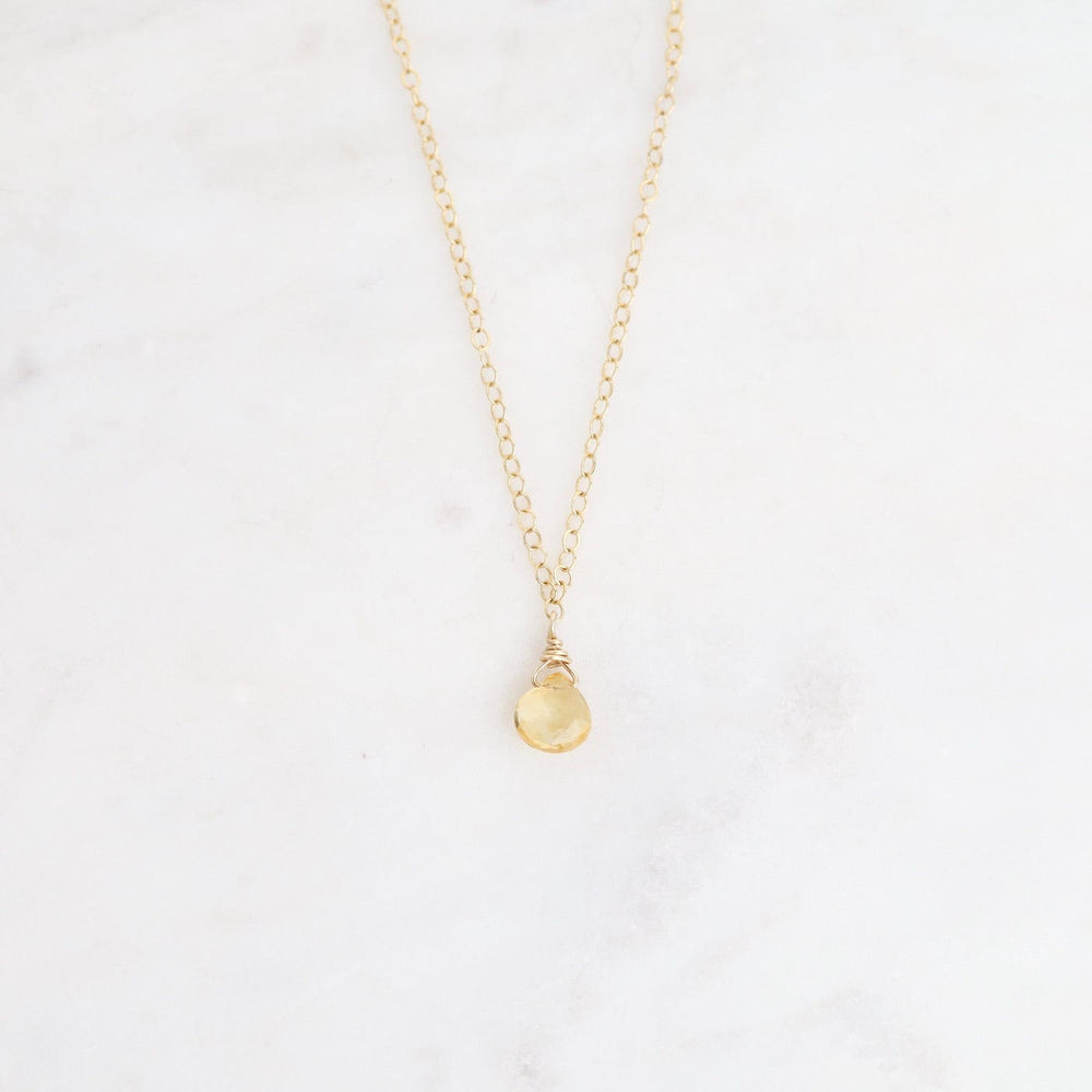 
                      
                        NKL-GF Delicate Brio Drop on Gold Filled Necklaces
                      
                    