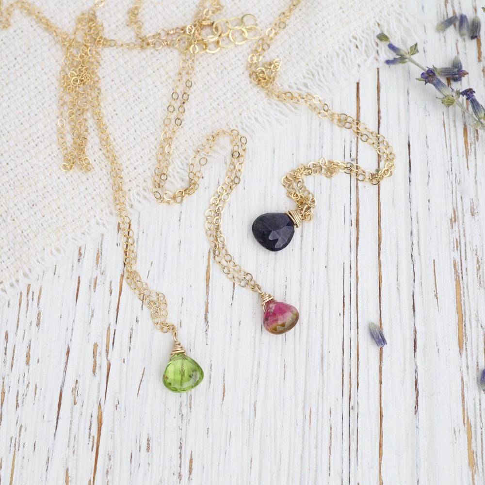 
                      
                        NKL-GF Delicate Brio Drop on Gold Filled Necklaces
                      
                    