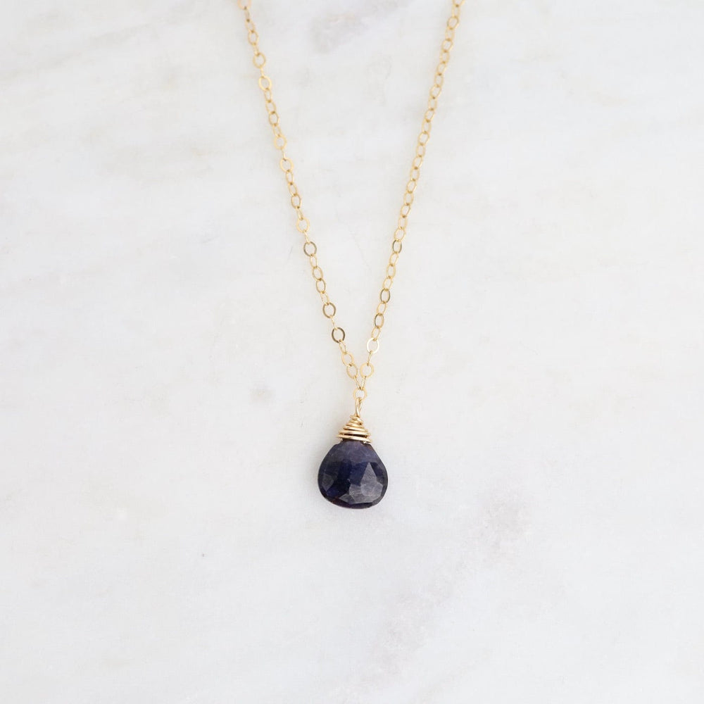 
                      
                        NKL-GF Delicate Brio Drop on Gold Filled Necklaces
                      
                    