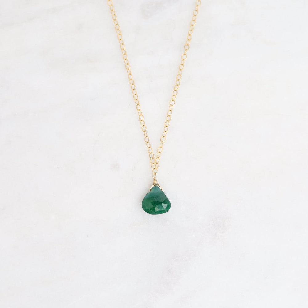 
                      
                        NKL-GF Delicate Brio Drop on Gold Filled Necklaces
                      
                    