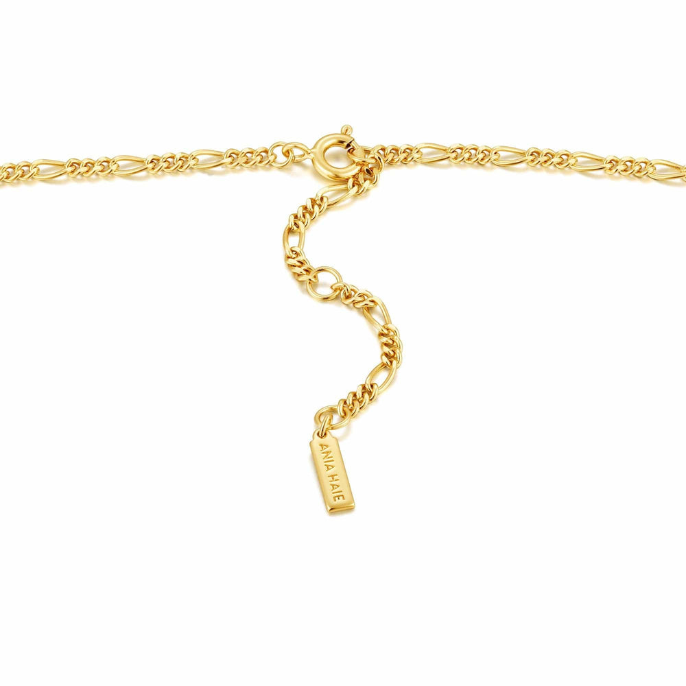 
                      
                        NKL-GPL Compass Emblem Gold Fiagro Chain Necklace
                      
                    