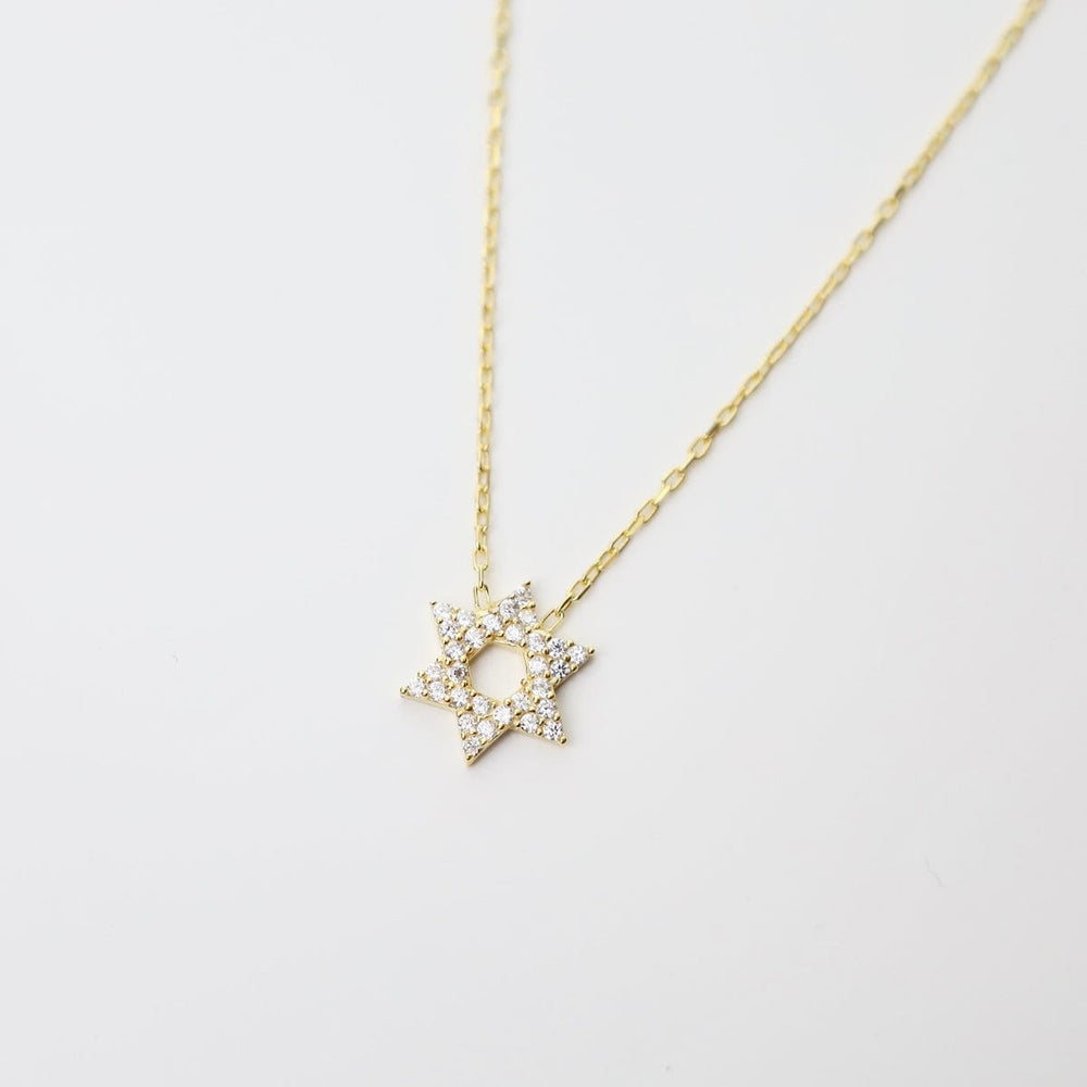 
                  
                    NKL-GPL CZ Star of David Necklace Gold Plated
                  
                