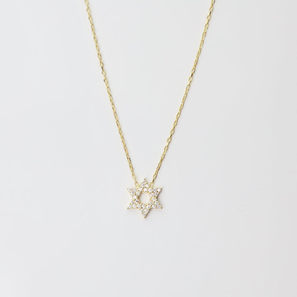 
                  
                    NKL-GPL CZ Star of David Necklace Gold Plated
                  
                