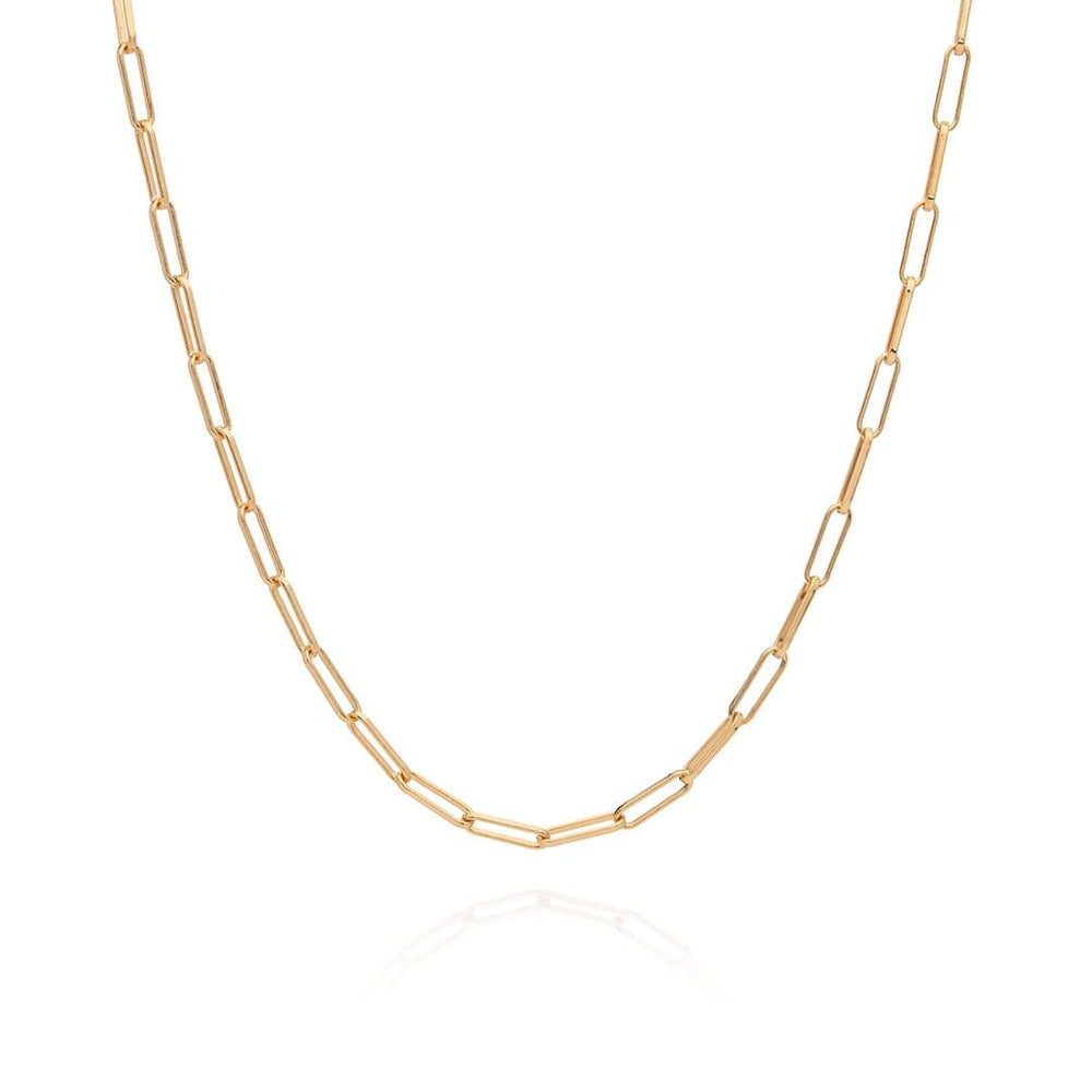 
                      
                        NKL-GPL Elongated Box Chain Necklace in Gold
                      
                    