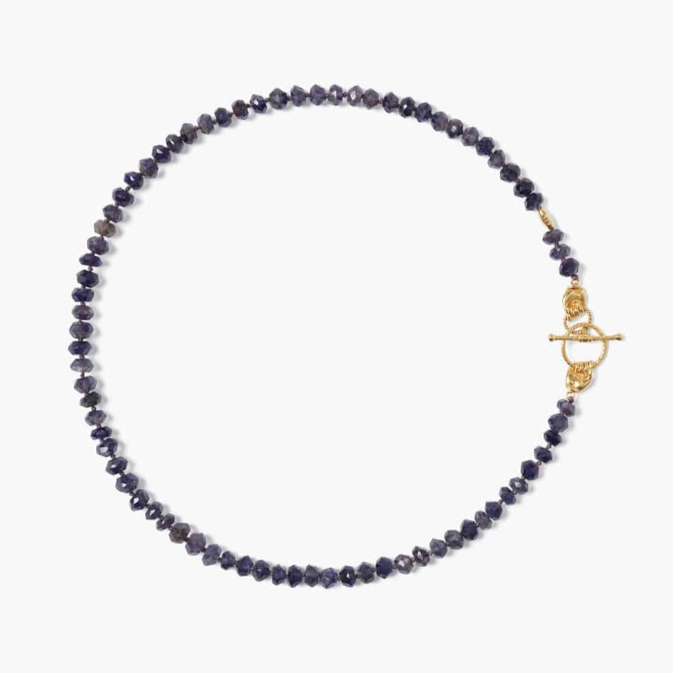 NKL-GPL Iolite Mano Toggle Necklace