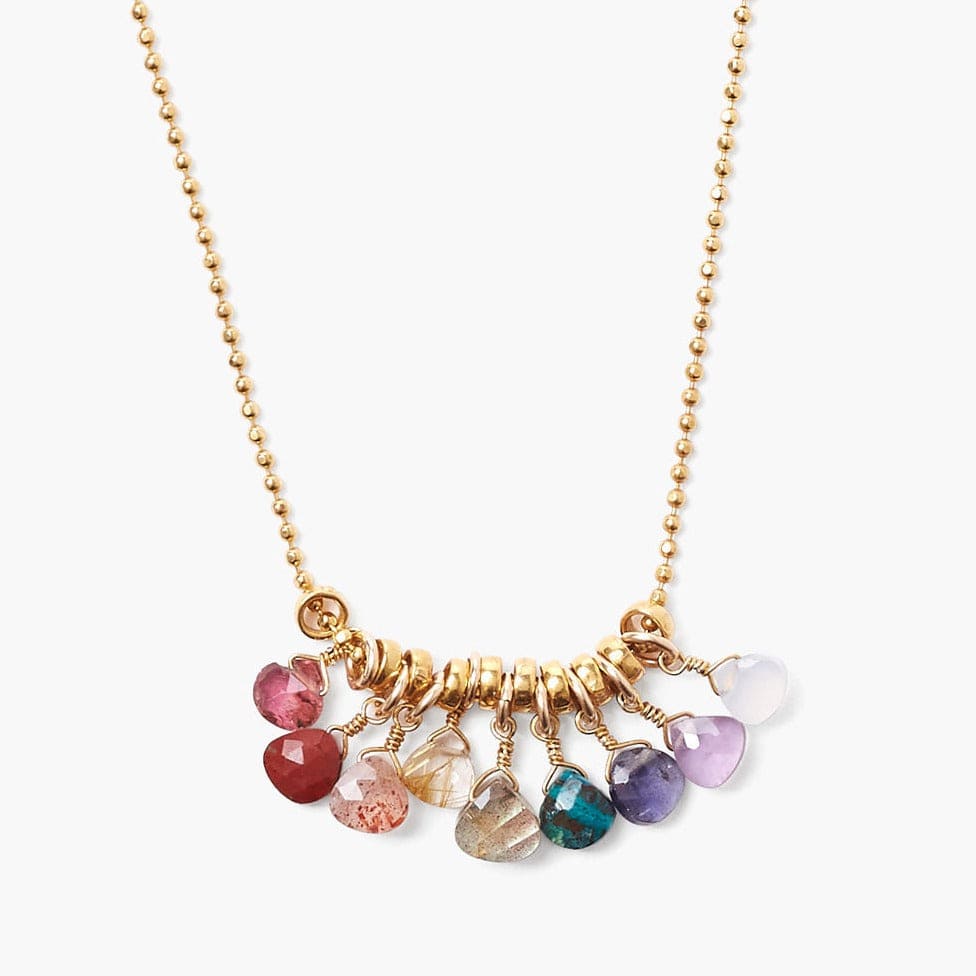 
                      
                        NKL-GPL Rainbow Mix Charm Necklace
                      
                    