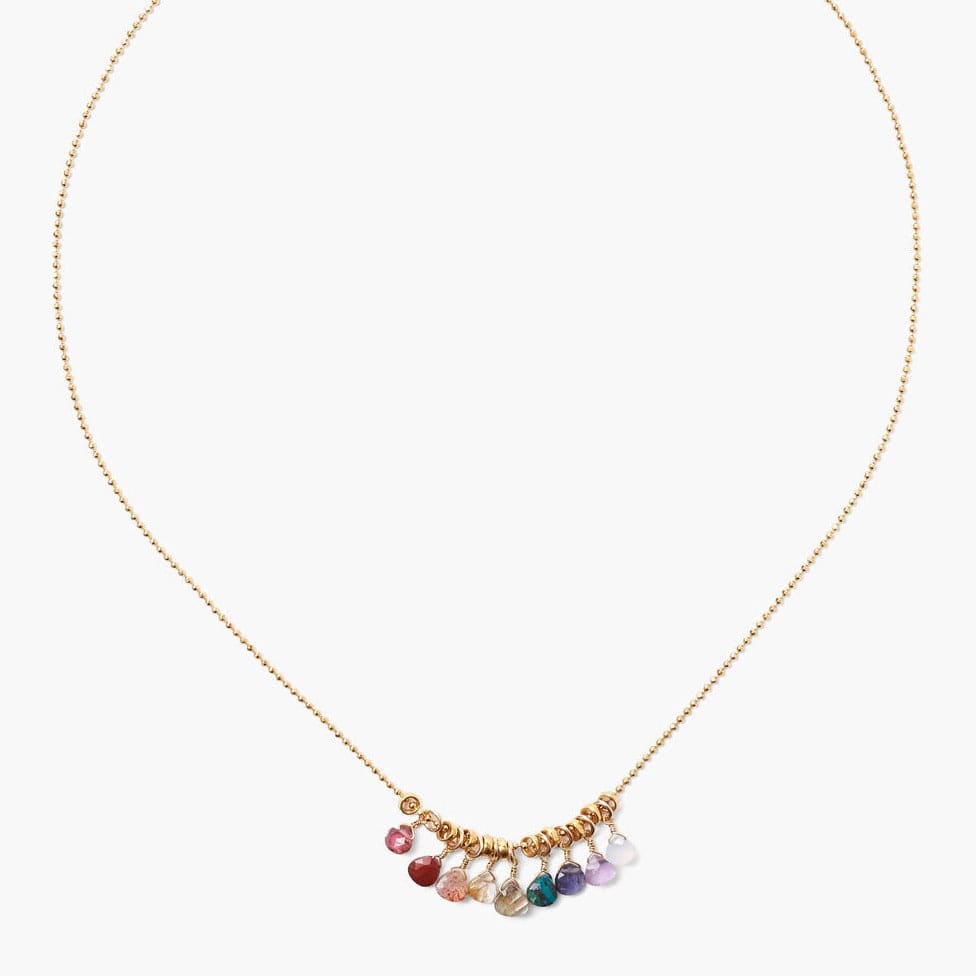 
                      
                        NKL-GPL Rainbow Mix Charm Necklace
                      
                    