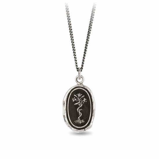 NKL Heal From Within Talisman Necklace