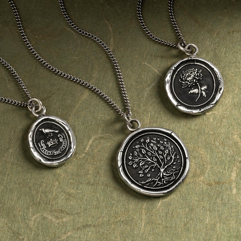 
                  
                    NKL Healing Journey Talisman Necklace
                  
                