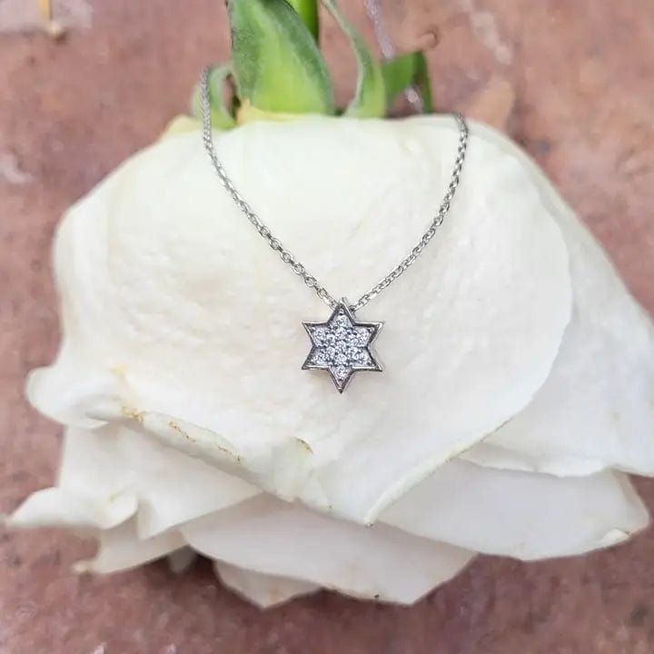 
                  
                    NKL Judaica Star of David Necklace
                  
                