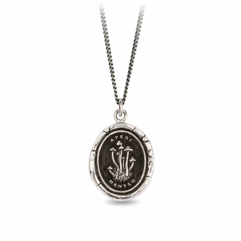 
                      
                        NKL Open Your Mind Talisman Necklace
                      
                    