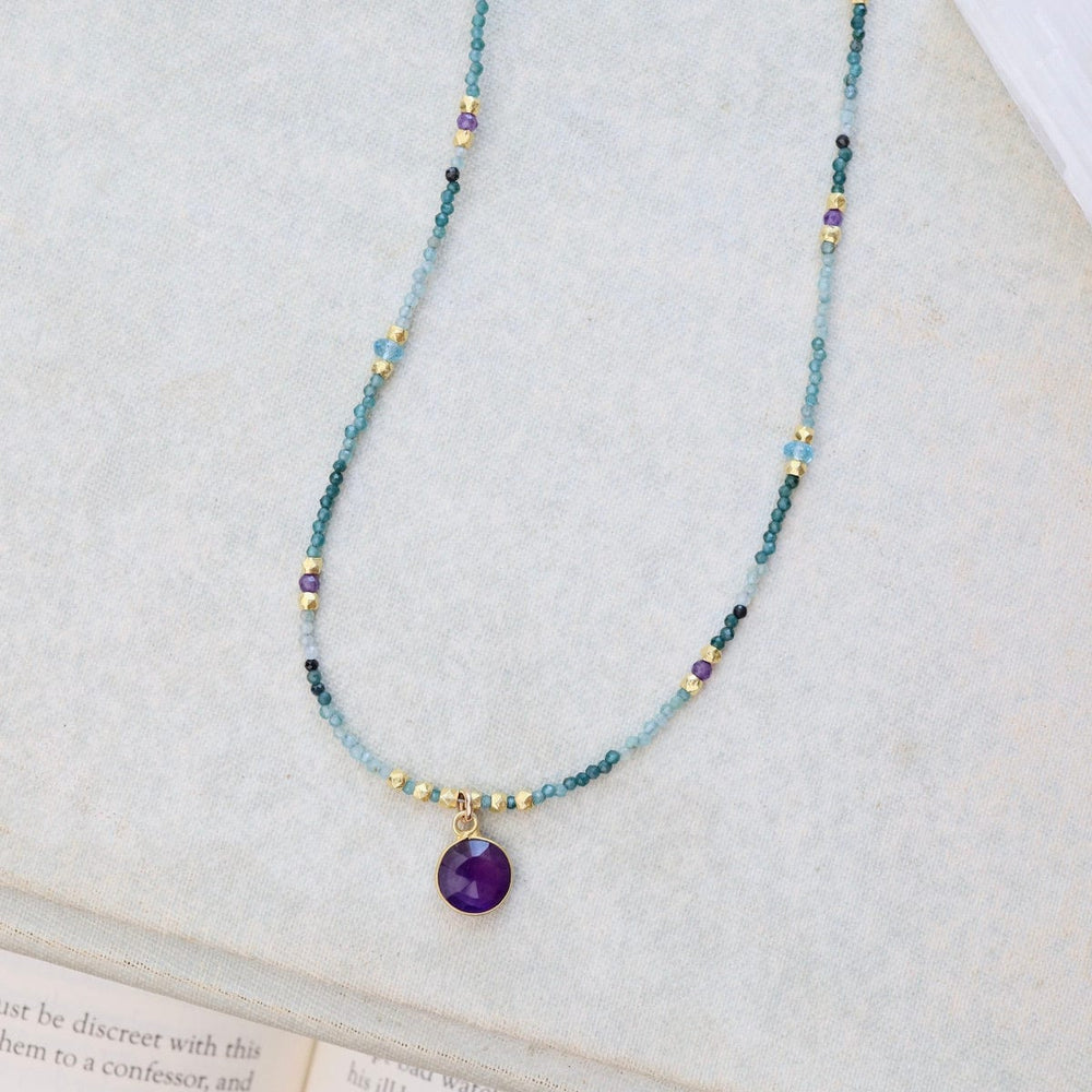 
                      
                        NKL-VRM Amethyst Coin On Apatite Mix Necklace
                      
                    