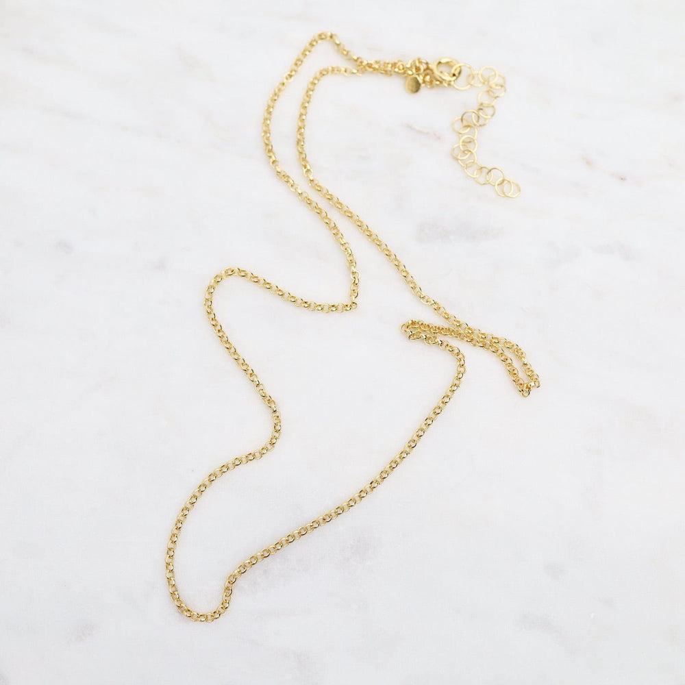 
                  
                    NKL-VRM Gold Vermeil Fine Rolo Chain
                  
                