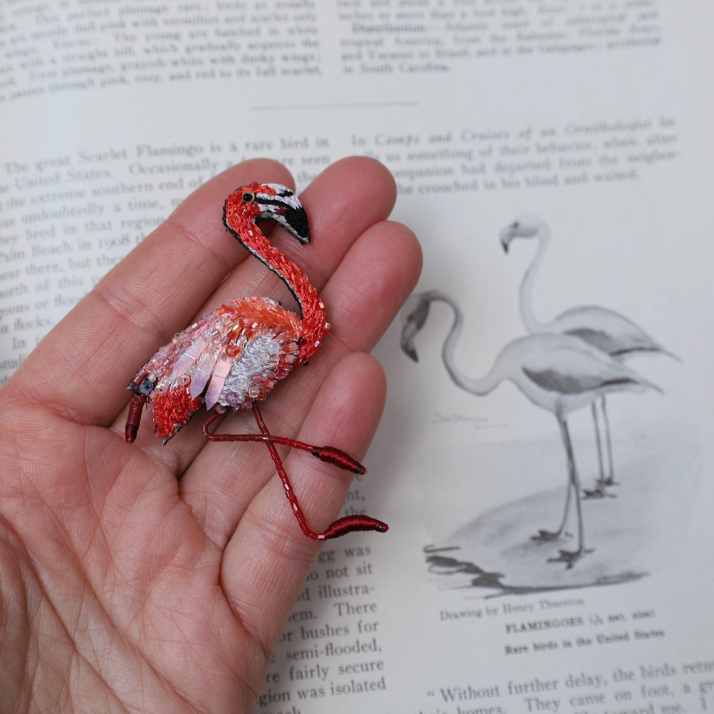 PIN Caribbean Flamingo Brooch Pin