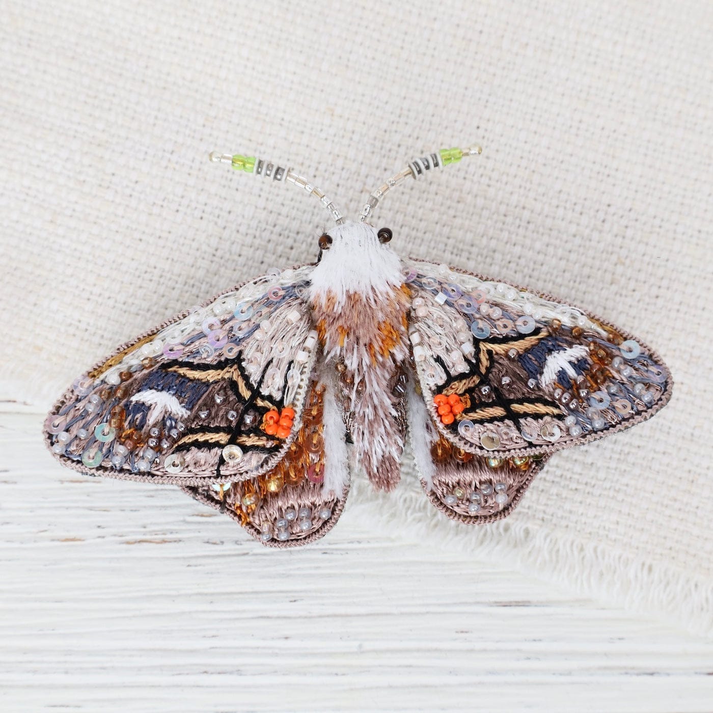 PIN Drepainid Moth Brooch Pin