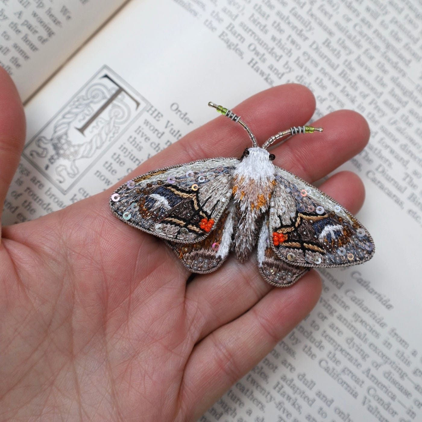 PIN Drepainid Moth Brooch Pin