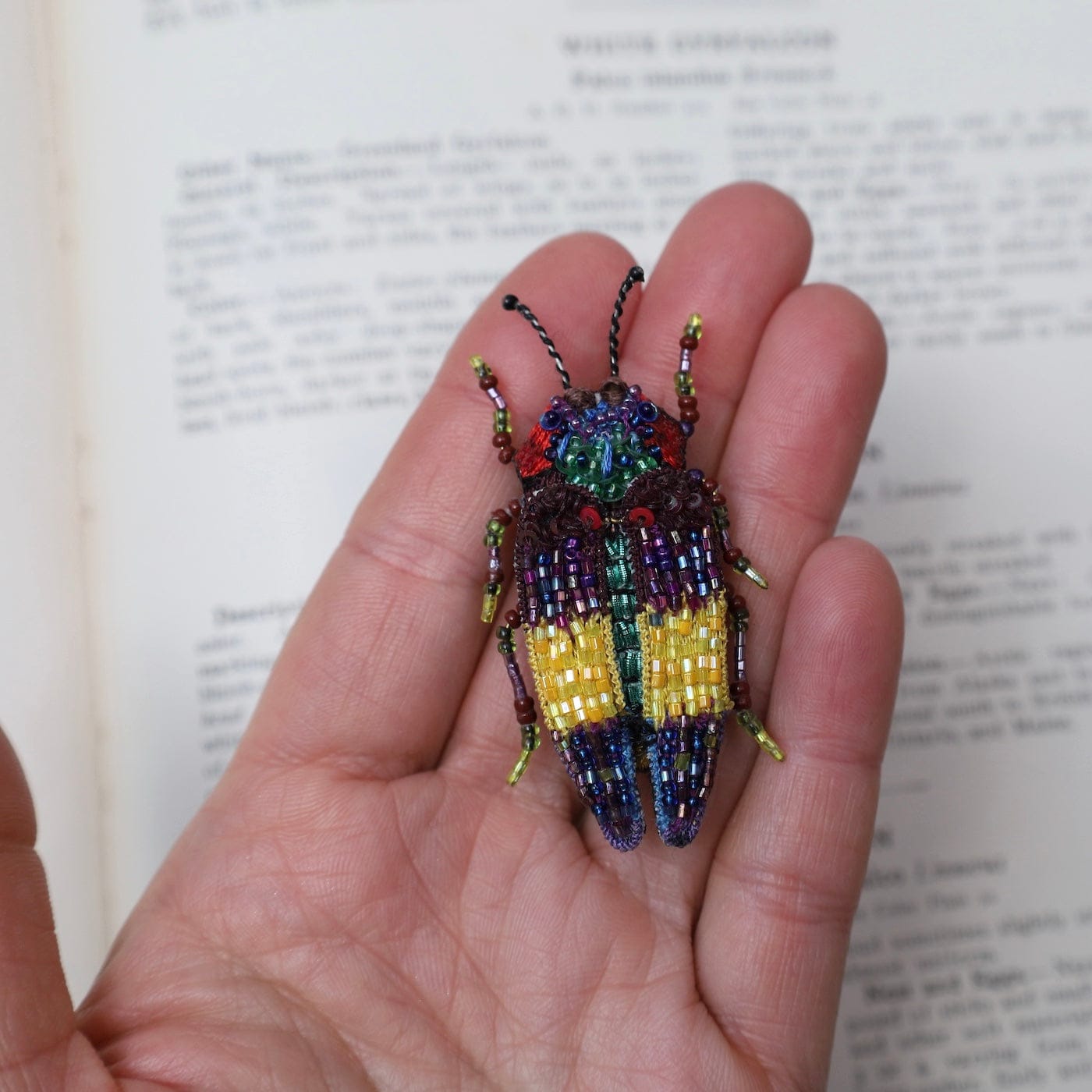 PIN Rebbie's Jewel Beetle Brooch Pin